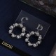 Dior Earrings