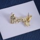 Dior Earrings