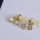 Dior Earrings