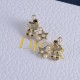 Dior Earrings
