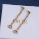 Dior Earrings