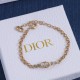 Dior Earrings