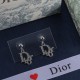 Dior Earrings