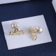 Dior Earrings