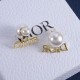 Dior Earrings