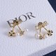 Dior Earrings