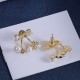 Dior Earrings
