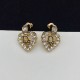 Dior Earrings