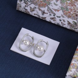 Dior Earrings