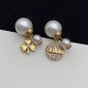 Dior Earrings