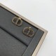 Dior Earrings