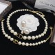 Dior Earrings
