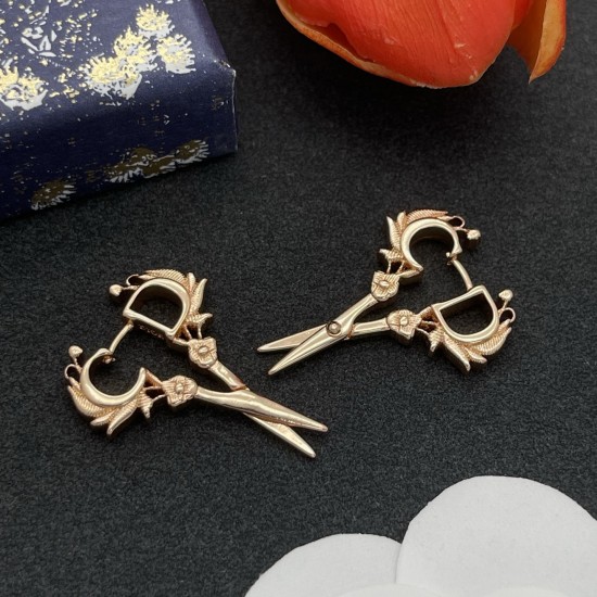 Dior Earrings