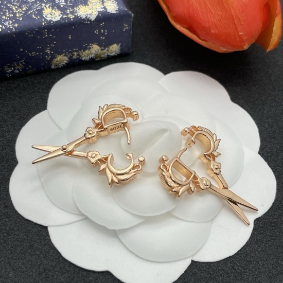 Dior Earrings