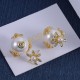 Dior Earrings