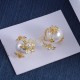 Dior Earrings