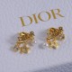 Dior Earrings