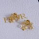 Dior Earrings