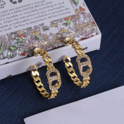 Dior Earrings