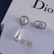 Dior Earrings