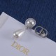 Dior Earrings