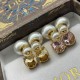 Dior Earrings