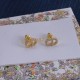 Dior Earrings