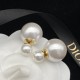 Dior Earrings