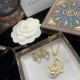 Dior Earrings
