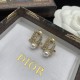 Dior Earrings