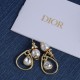 Dior Earrings
