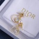 Dior Earrings