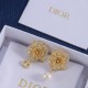 Dior Earrings