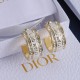 Dior Earrings