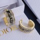 Dior Earrings