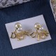 Dior Earrings