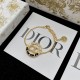 Dior Necklace
