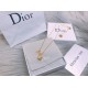 Dior Necklace