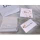 Dior Necklace