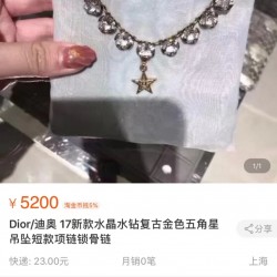 Dior Necklace