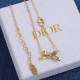 Dior Necklace