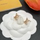 LV Earrings