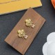 LV Earrings