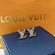LV Earrings