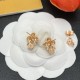 LV Earrings