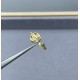 LV Ring