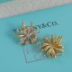 Tiffany Earrings