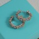 Tiffany Earrings