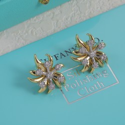 Tiffany Earrings