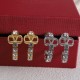 Valentino Earrings